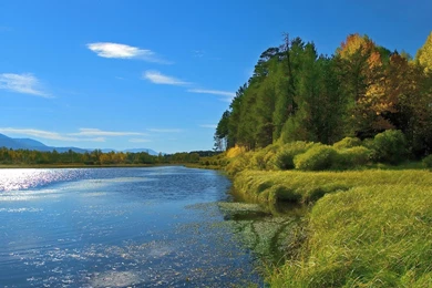 Environmental facts and experiments 3840x1200.jpg