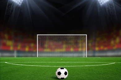 Soccer Ball In Front Of The Gate Wallpapers And Images ...