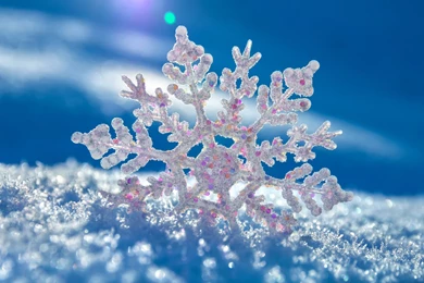 15 Snowflake HD Wallpapers
