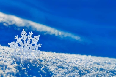 37 Snowflake HD Wallpapers