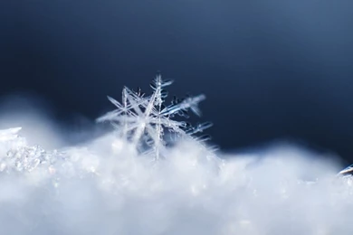 Laptop 1366x768 Snowflake Wallpapers HD, Desktop Backgrounds 1366x768