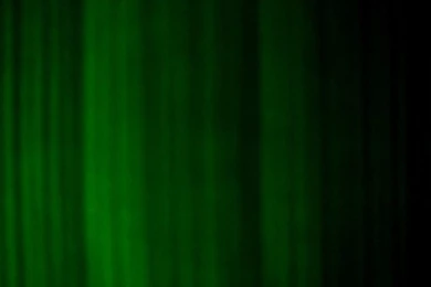 BuizelxPachirisu LWP By DarkBlade466 On DeviantArt