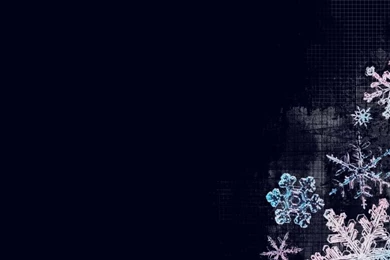Snowflakes Winter Artwork HD Wallpapers Wallpapers   (
