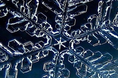 Android HTC Sensation 540x960 Snowflake Wallpapers HD, Desktop ...