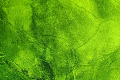 HD Quality Awesome Green Color Wallpapers HD 14 SiWallpapers 10584