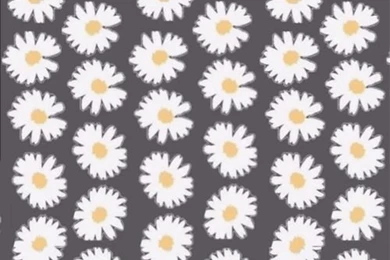 Daisy Wallpapers I Made ❁☻ ~ M.f.d.