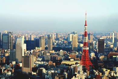HD Quality Tokyo City Desktop Widescreen Wallpapers HD 8 ...