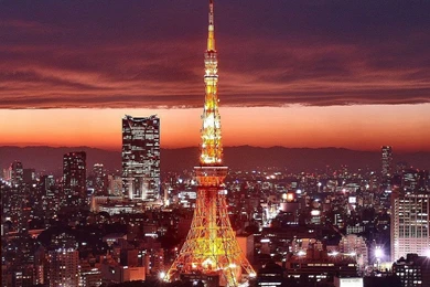 Tokyo Wallpapers   Crazy Frankenstein