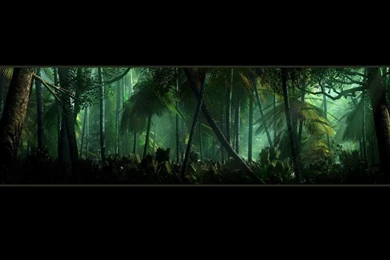 Jungle Wallpapers By Baddog2k7 On DeviantArt