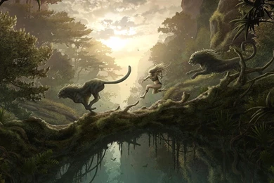 Full HD 1080p Jungle Wallpapers HD, Desktop Backgrounds 1920x1080