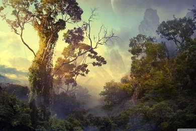 Jungle HD Desktop Wallpapers : Widescreen : High Definition ...
