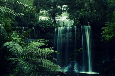Jungle Waterfall HD Aesthetic Wallpapers Free HD Wallpapers ...