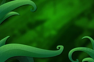 Jungle Wallpapers By Dakki000 On DeviantArt