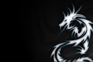 Dragon Tribal Background.jpg