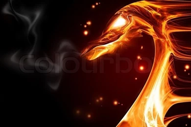 Abstract Fire Dragon On A Dark Backgrounds