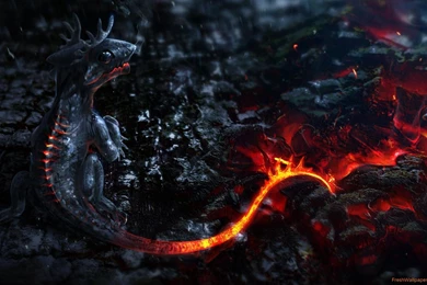 Dragon Backgrounds Wallpapers