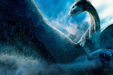 Blue Dragon Backgrounds HD Wallpapers 1757   HD Wallpapers Site