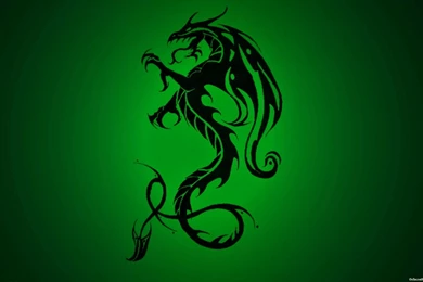Green Dragon Backgrounds Picture For Desktop   Popomypics.com