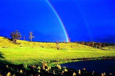 Free Download HD Wallpapers 3.jpg