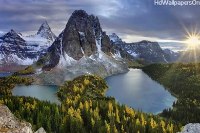 Free Mobile Wallpapers Hd   HD Wallpapers Pretty