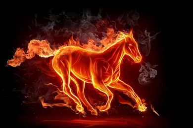 Cool Horse Backgrounds
