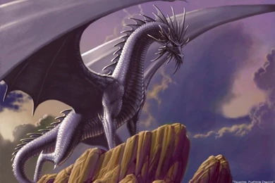 Drangon   Dragons Wallpapers (13713389)   Fanpop