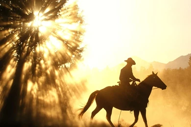 Download Cowboy Horse Sunset Free Wallpapers 1600x1200