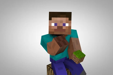 MINECRAFT STEVE PICTURES DKJ003