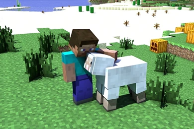 Sheep Steve Minecraft Cinema 4d Tapeta Wallpapers