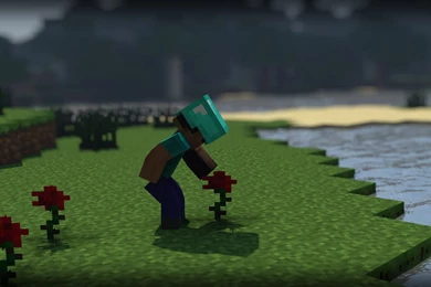 MINECRAFT STEVE WALLPAPERS HS003