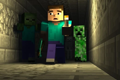 MINECRAFT STEVE PICTURES DKJ005