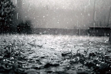 Rain HD Wallpapers