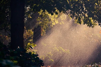 128 Rain HD Wallpapers