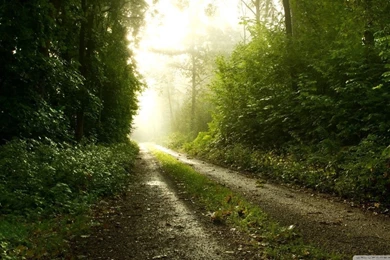 Sunshine After The Rain HD Desktop Wallpapers : High Definition ...