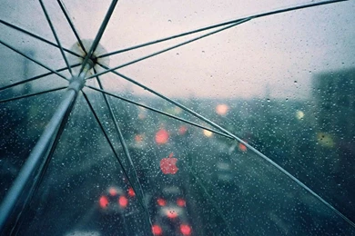 Transparent Umbrella In Rainy