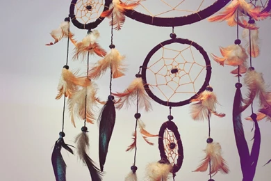 Dream catcher made with beautiful feathers.jpg