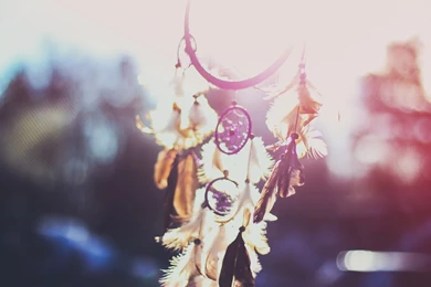 Dream Catcher Wallpapers