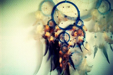 Photography   Page 264