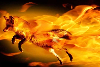 Fire Best Hd Picture