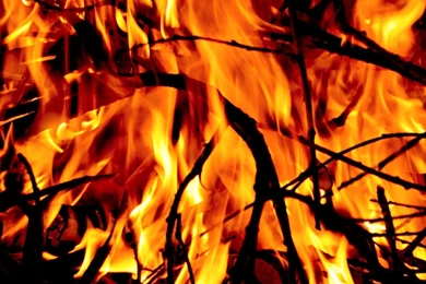 Forest Fire HD Wallpapers