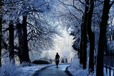 Winter_hd 1080p_wallpaper.jpg