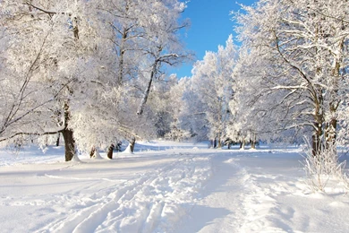 Hd Winter Wallpapers 3 – HdCoolWallpapers.Com