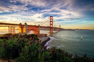 Download Beautiful California Wallpapers 7154 1920x1200 Px High ...