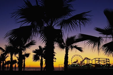 California full hd background_1.jpg
