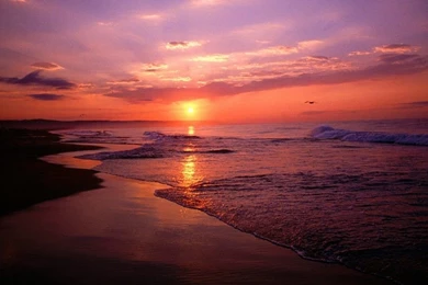 California Beach Wallpapers