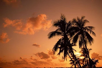 Desktop Wallpapers » Nature & Landscape Backgrounds » Page 2 » Www ...