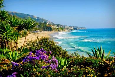 Laguna Beach California   (