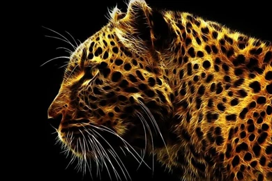 iPad Wallpapers: 100 Beautiful Hi Res iPad Wallpapers ...