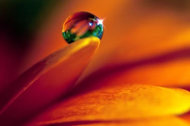 Wallpapers Ipad 2 Apple Awesome 97   1024 X 1024   Ipad 2 Apple ...