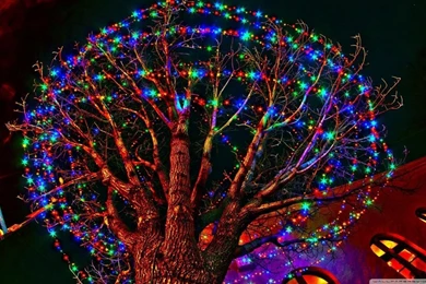 Holiday Season HD Desktop Wallpapers : Widescreen : High Definition ...